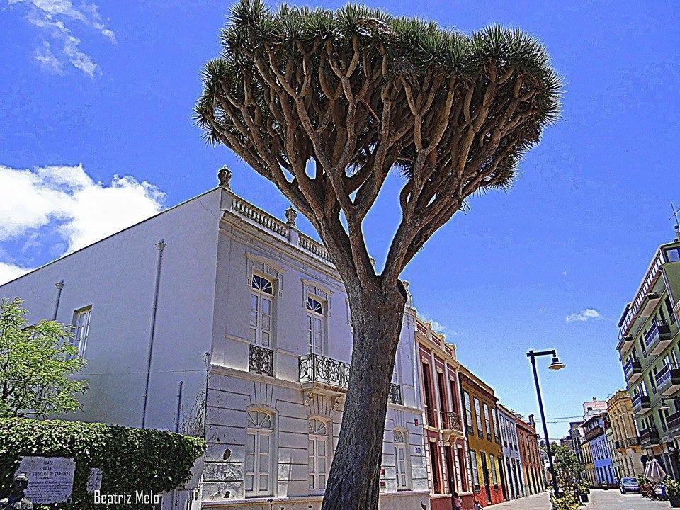 Apartamento Maya La Laguna  Exterior foto